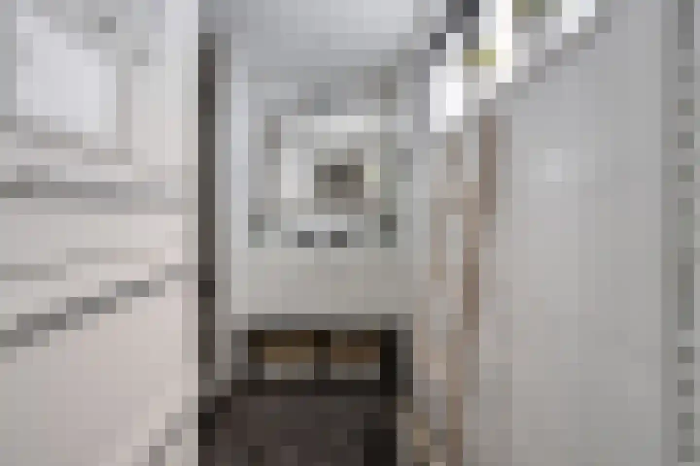 Dorperheideweg 34 2219 Arcen thumbnail 16