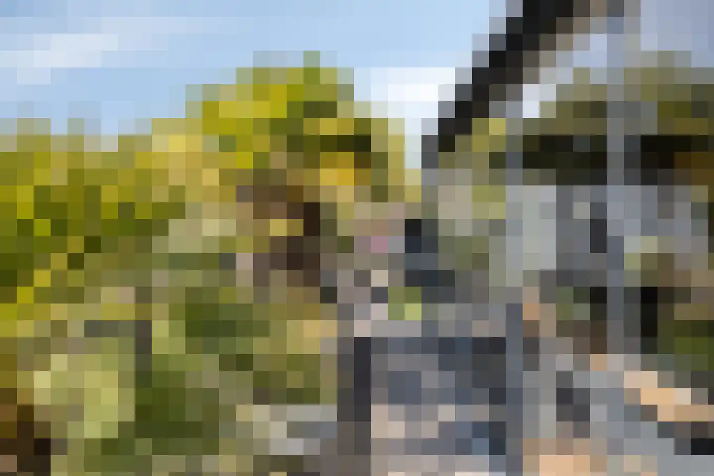 Dorperheideweg 34 2219 Arcen thumbnail 28
