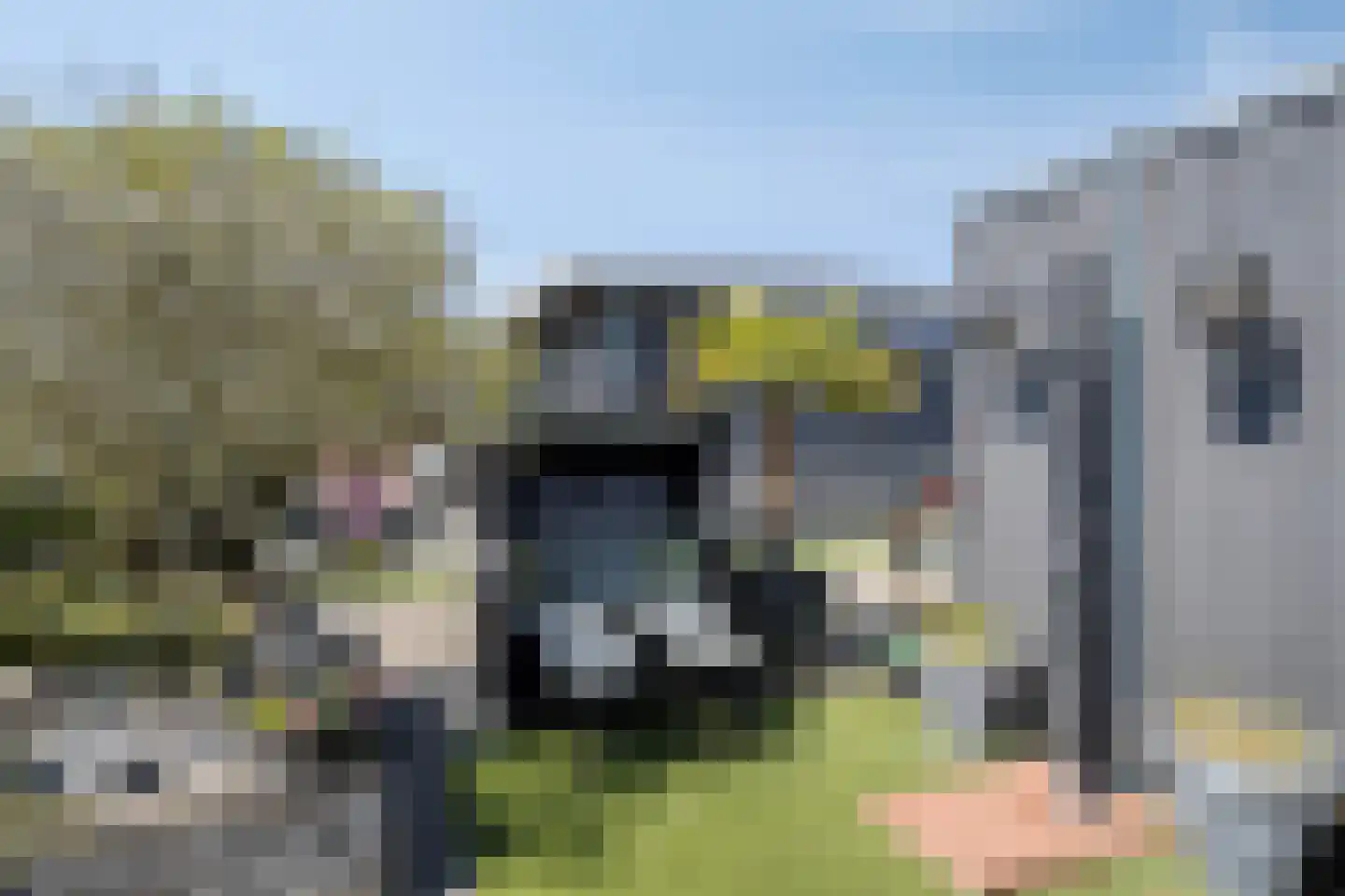 Dorperheideweg 34 2219 Arcen thumbnail 30