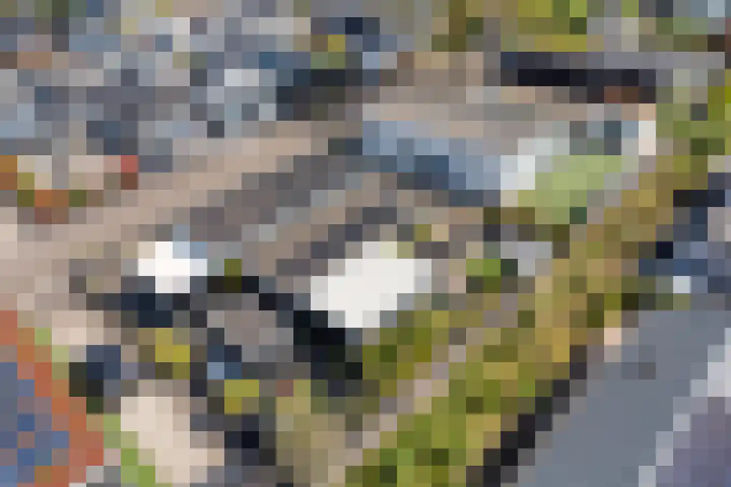 Dorperheideweg 34 2219 Arcen thumbnail 35