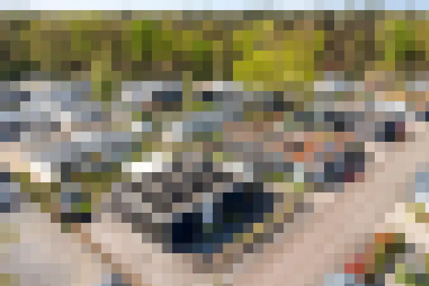 Dorperheideweg 34 2219 Arcen thumbnail 37