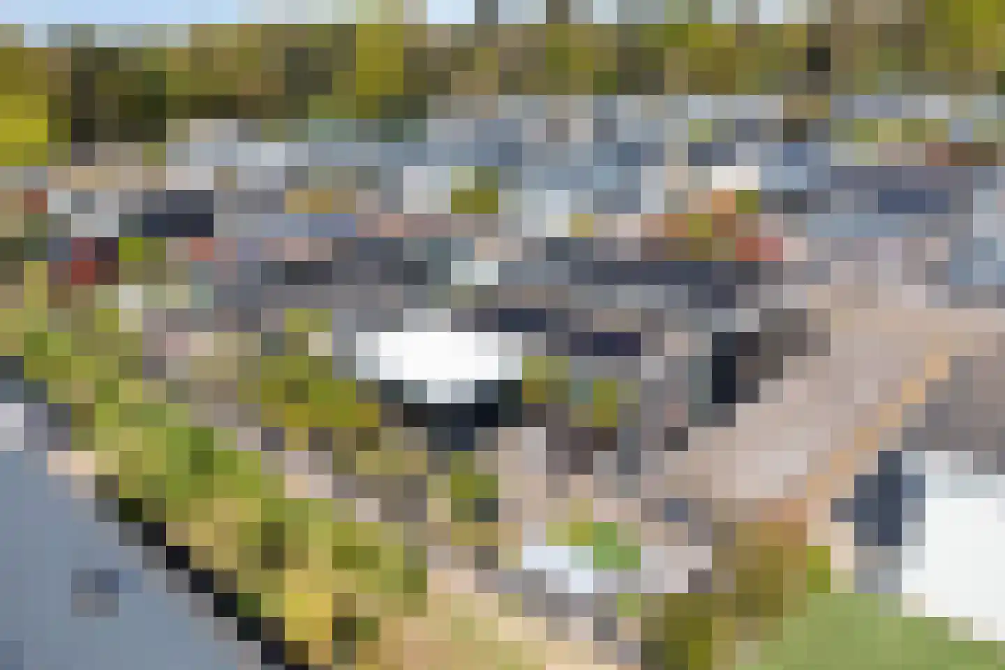 Dorperheideweg 34 2219 Arcen thumbnail 38