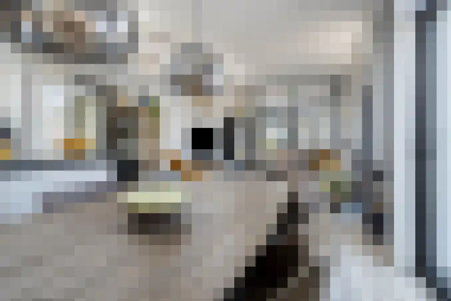 Dorperheideweg 34 2219 Arcen thumbnail 8