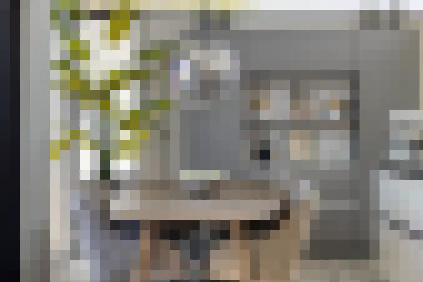 Dorperheideweg 34 2219 Arcen thumbnail 9
