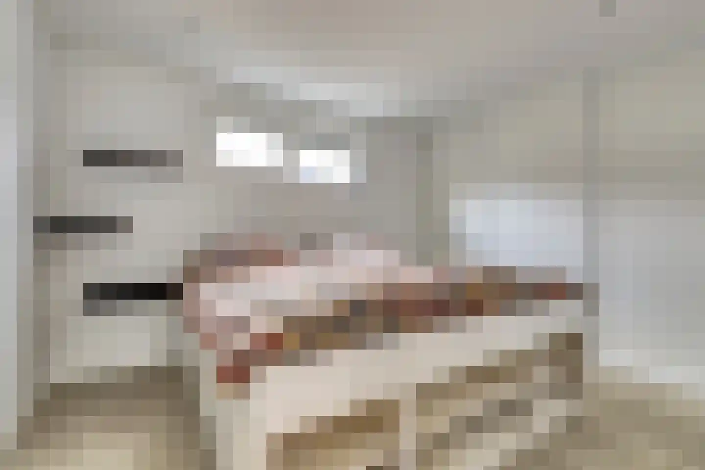 Dorperheideweg 34 2223 Arcen thumbnail 10