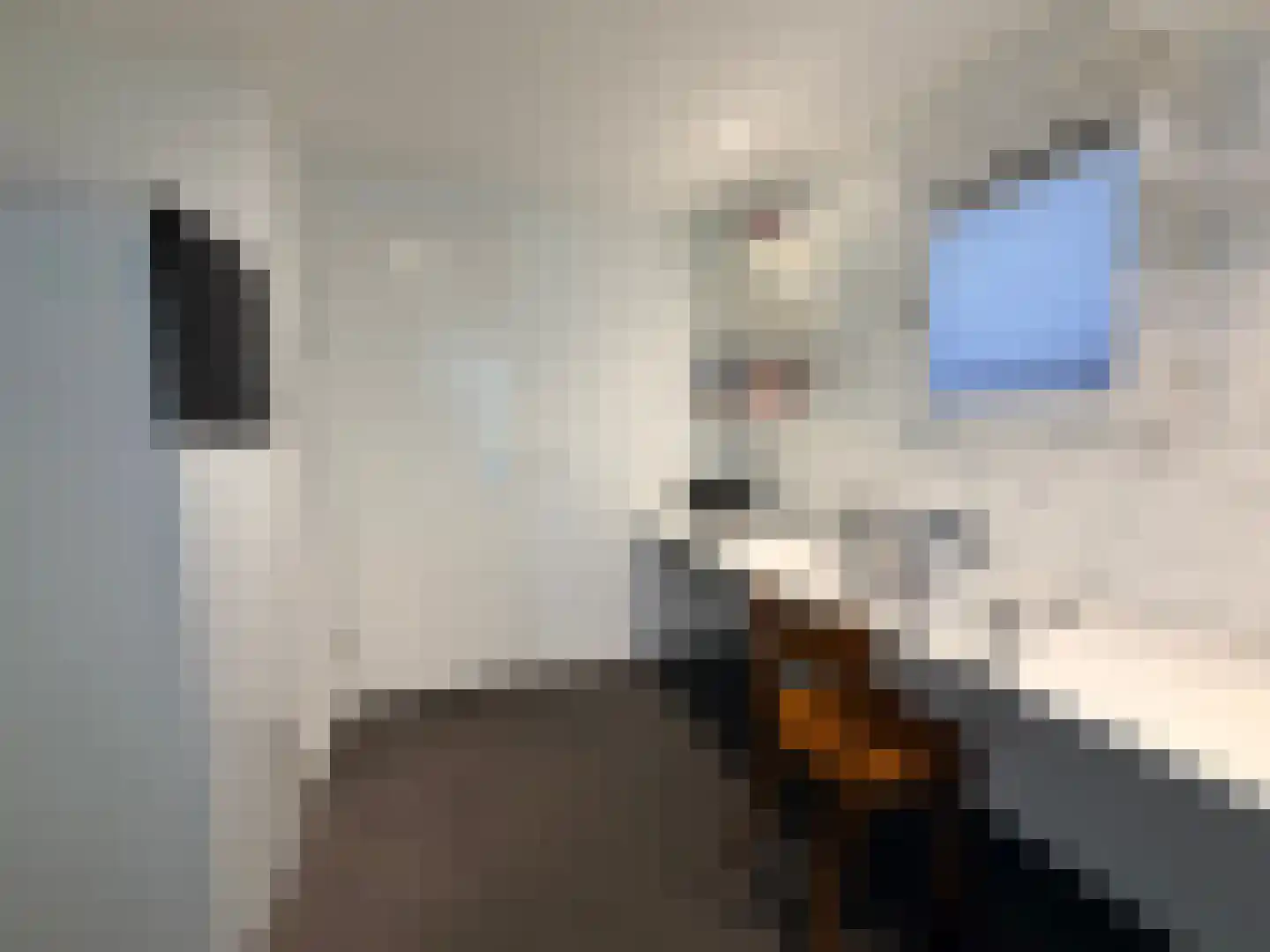 Dorperheideweg 34 2223 Arcen thumbnail 14
