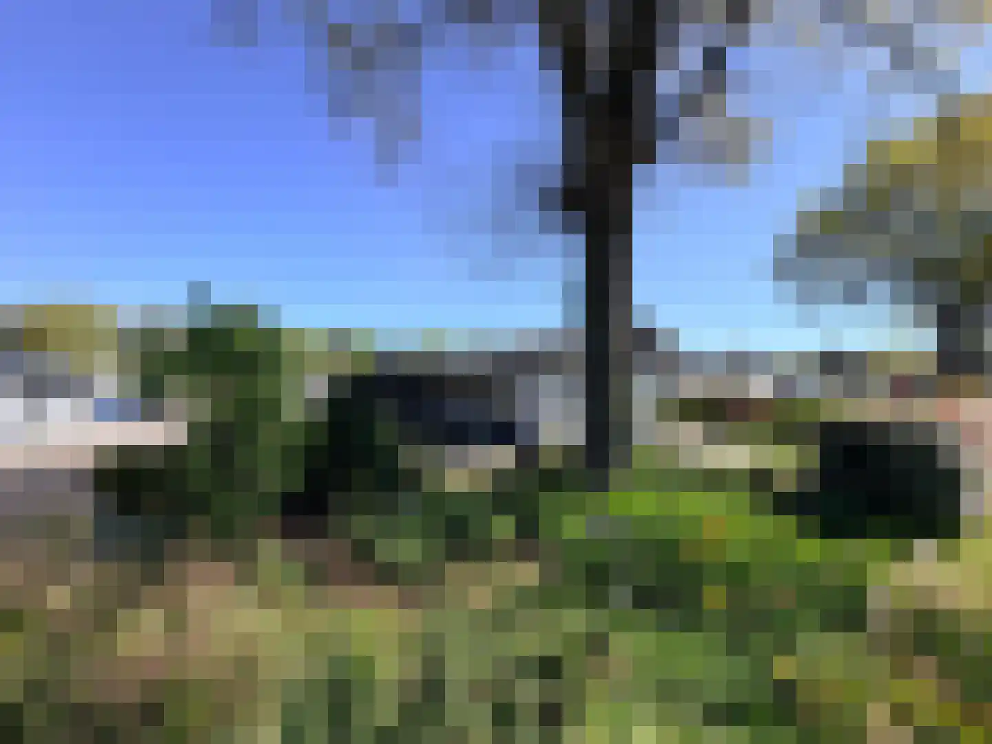 Dorperheideweg 34 2223 Arcen thumbnail 18