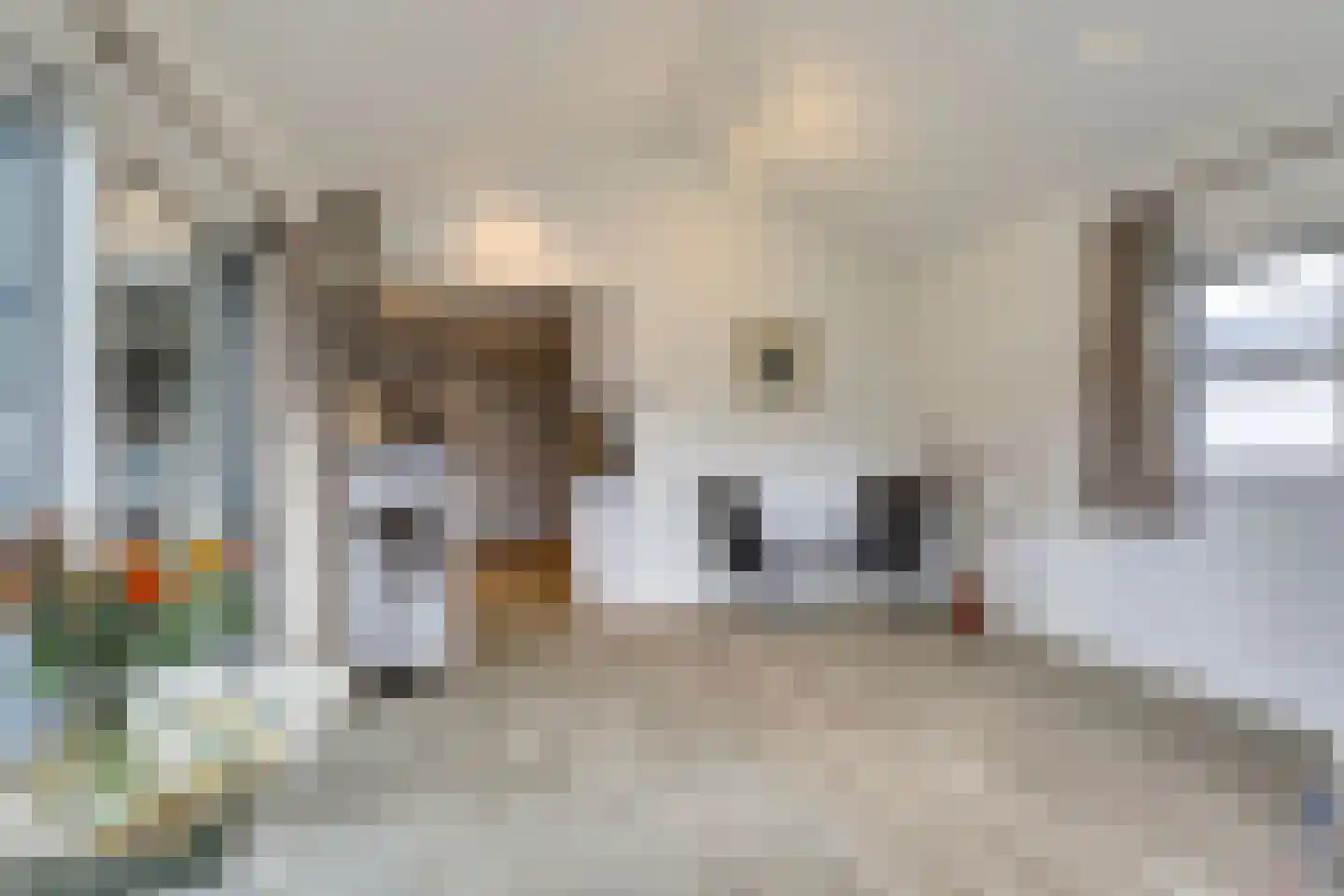 Dorperheideweg 34 2223 Arcen thumbnail 7