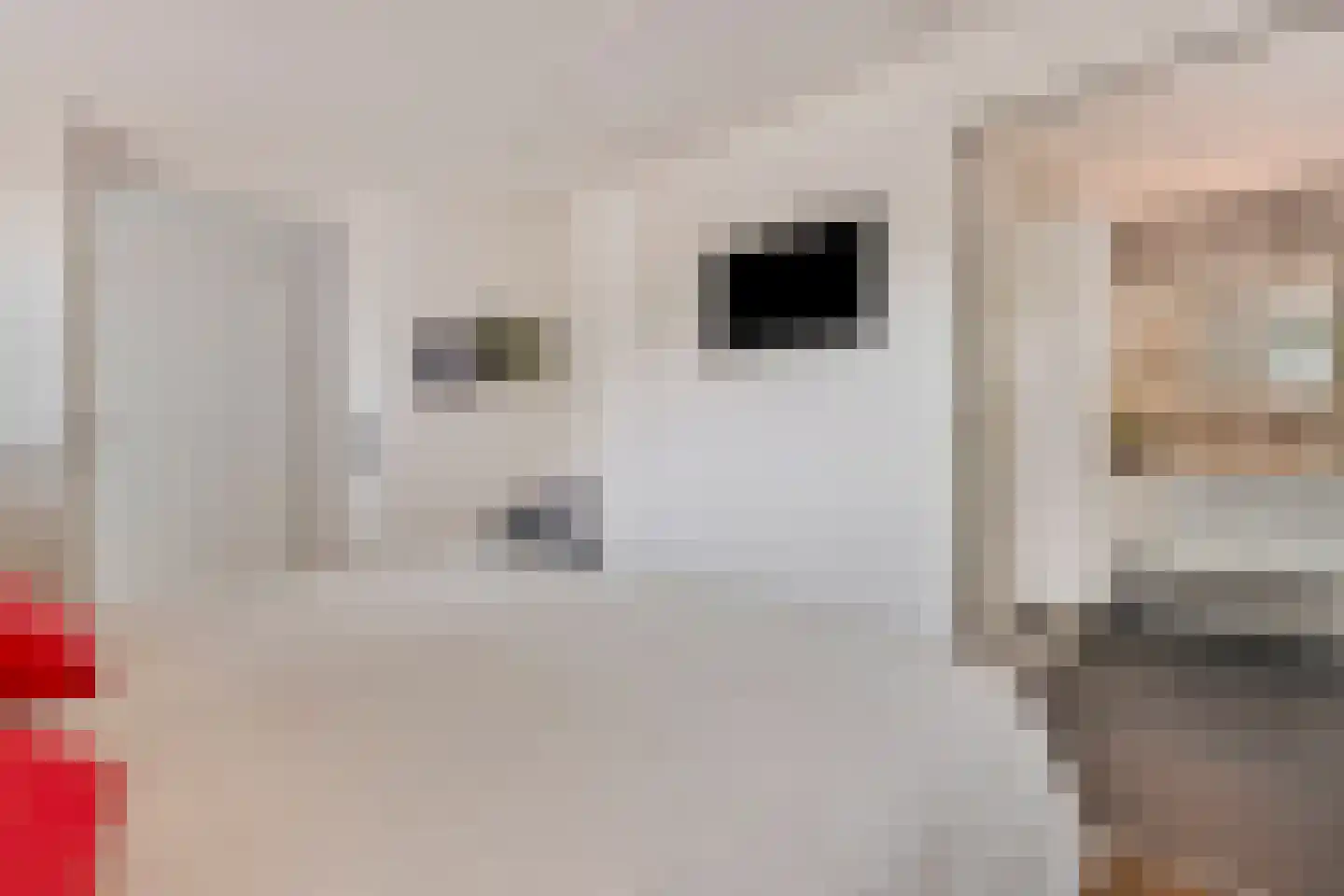 Dorperheideweg 34 2322 Arcen thumbnail 19