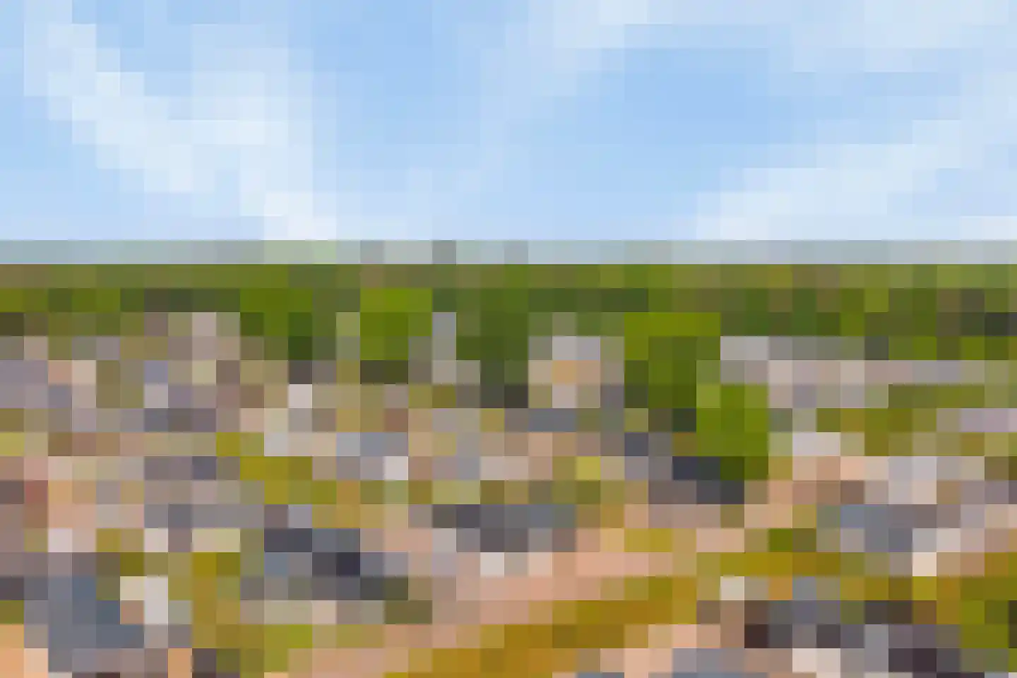 Dorperheideweg 34 2322 Arcen thumbnail 24