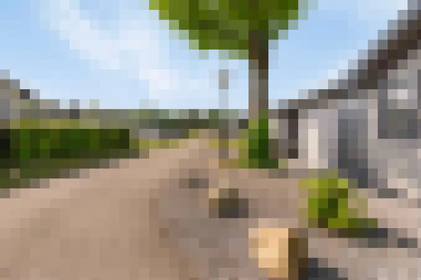 Dorperheideweg 34 2322 Arcen thumbnail 27