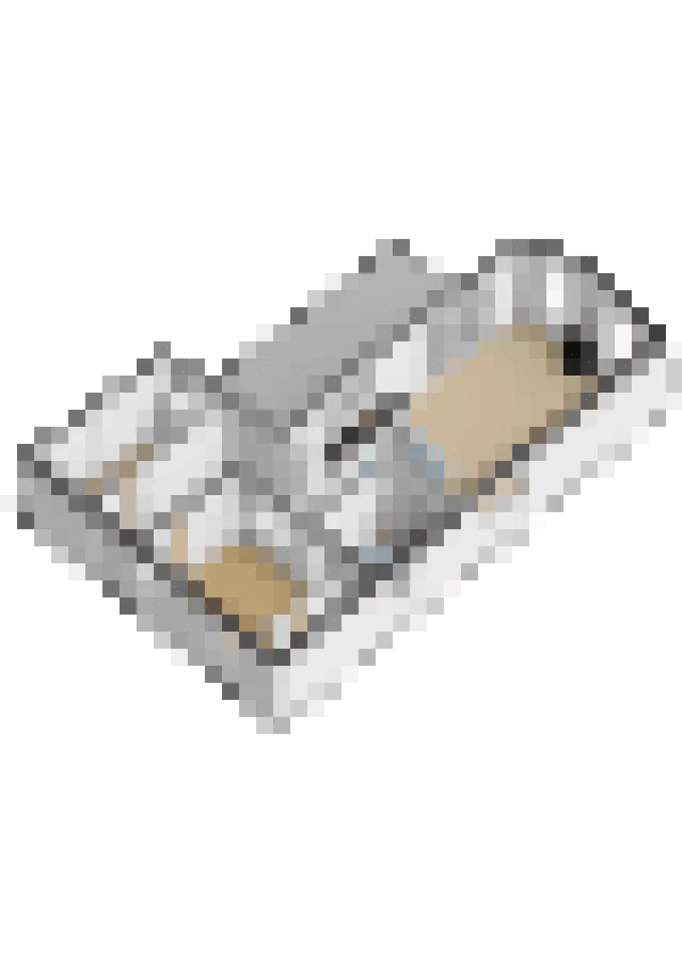 Dorperheideweg 34 2322 Arcen thumbnail 29