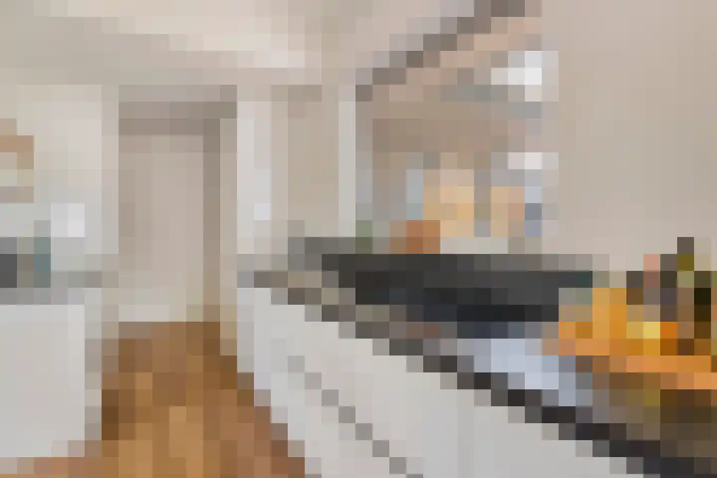 Dorperheideweg 34 2322 Arcen thumbnail 8