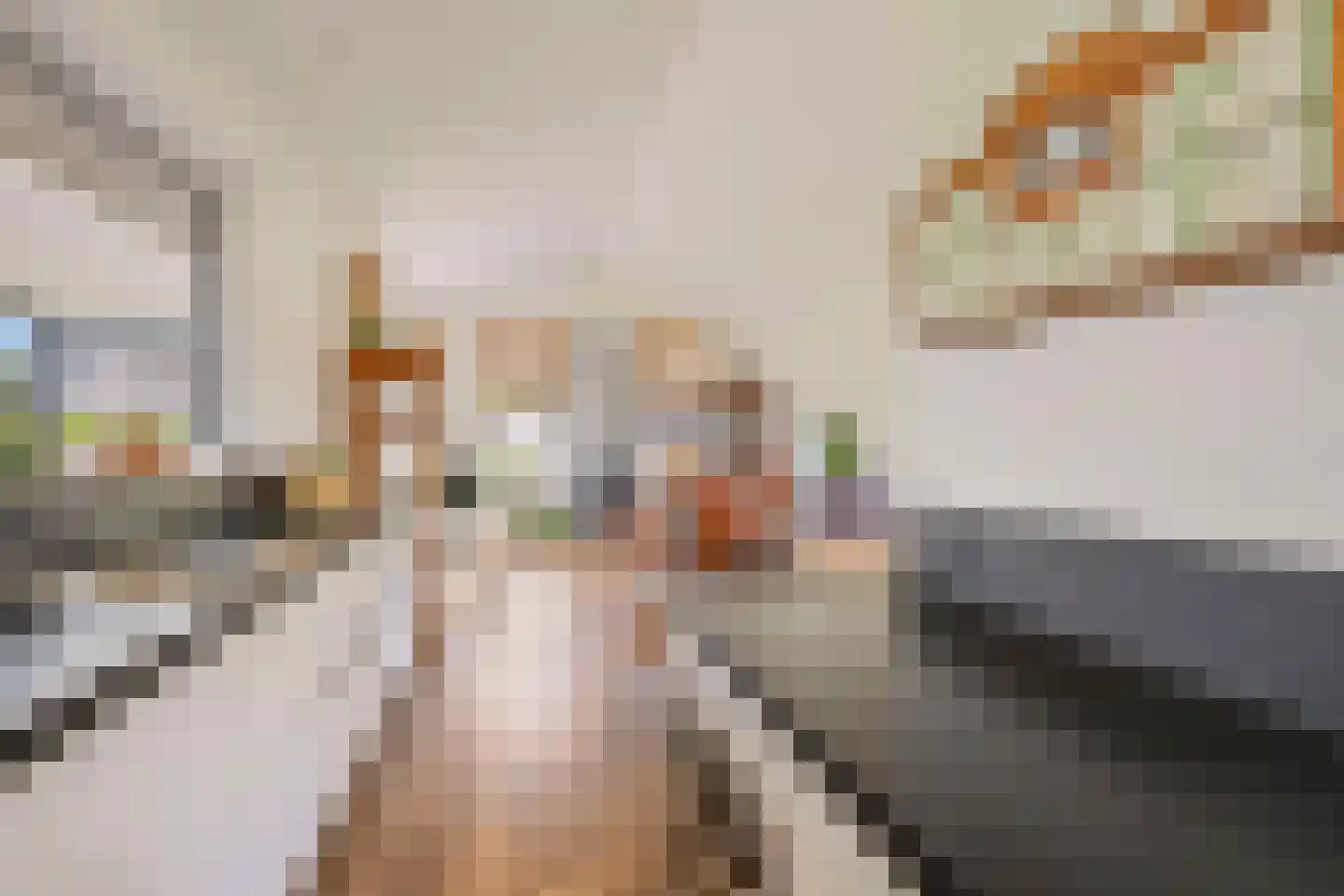 Dorperheideweg 34 2322 Arcen thumbnail 9