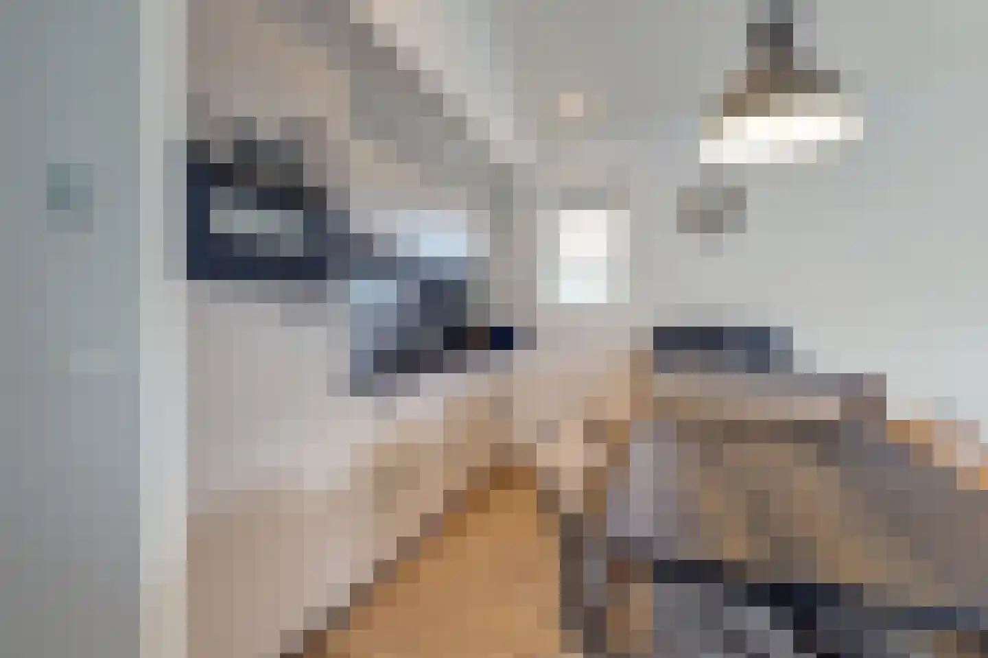 Dorperheideweg 34 2405 Arcen thumbnail 10