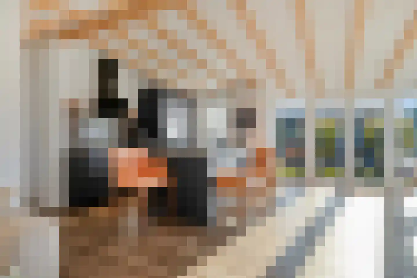 Dorperheideweg 34 2406 Arcen thumbnail 7
