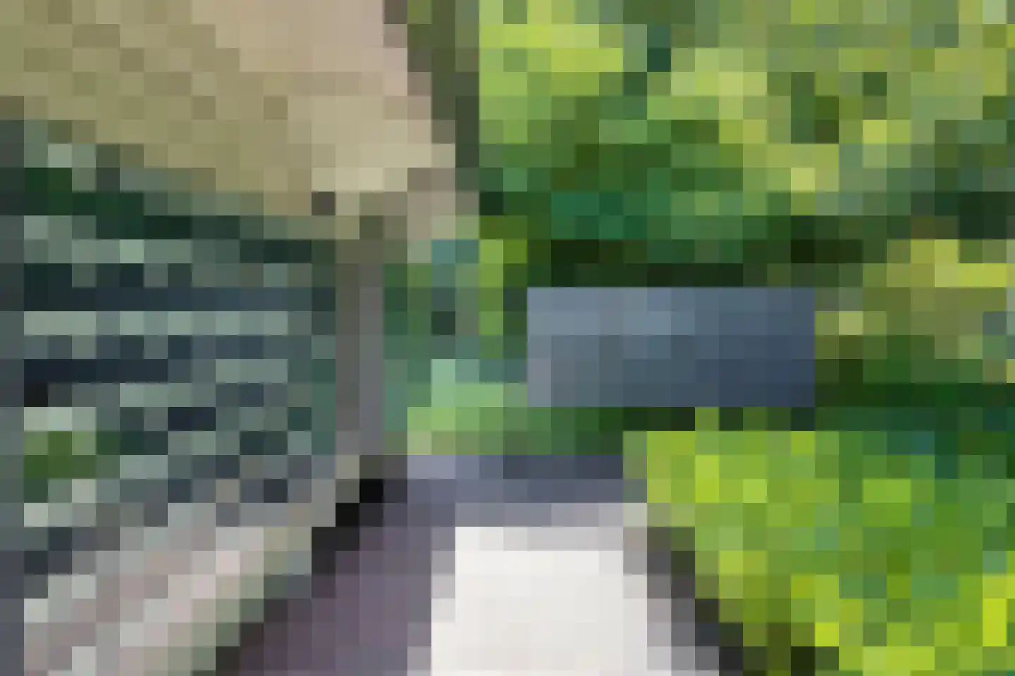 Dorperheideweg 34 2423 Arcen thumbnail 48