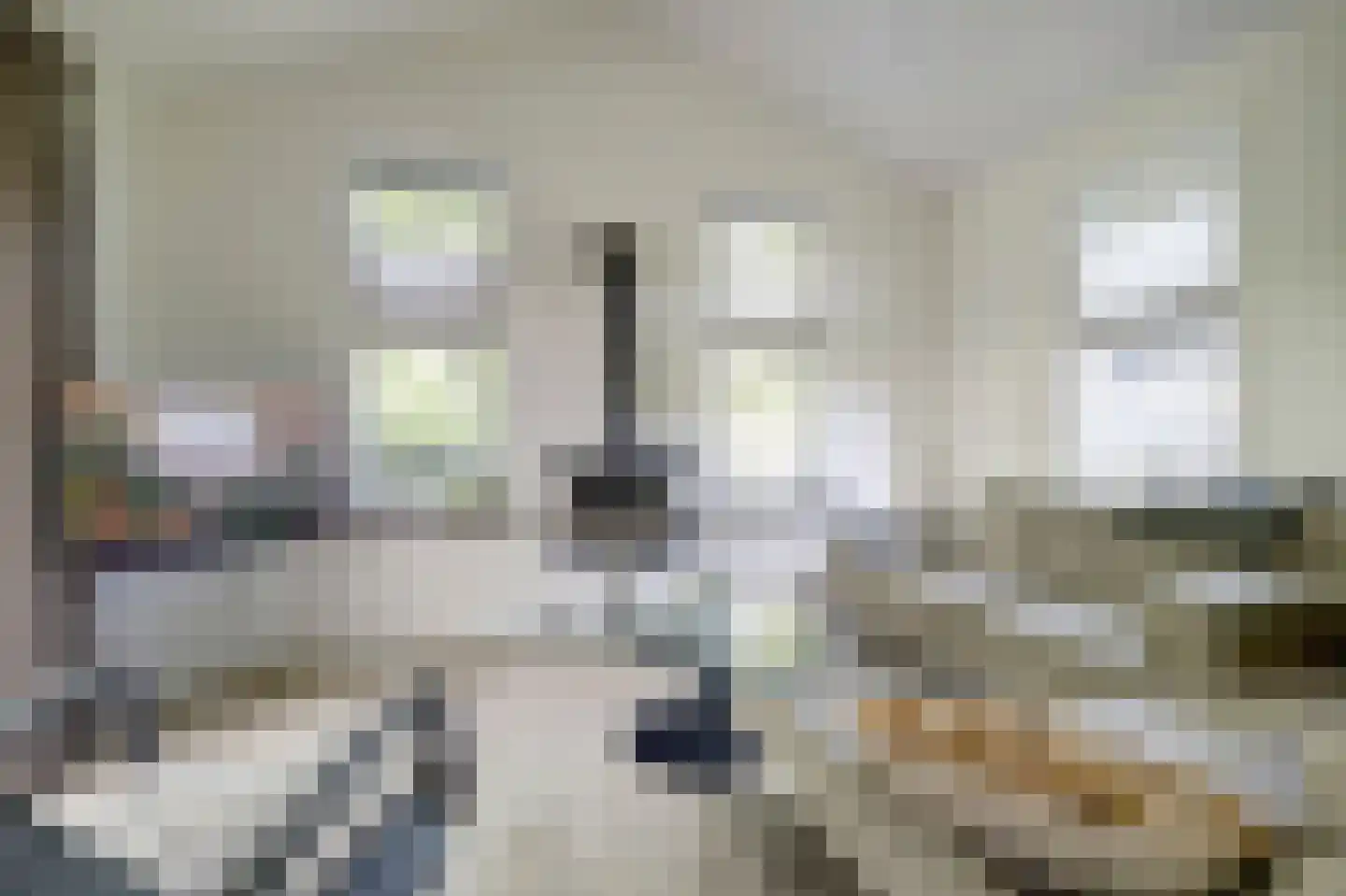Dorperheideweg 34 2501 Arcen thumbnail 11