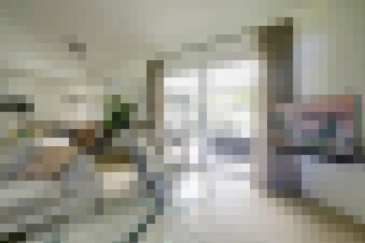 Dorperheideweg 34 2501 Arcen thumbnail 14
