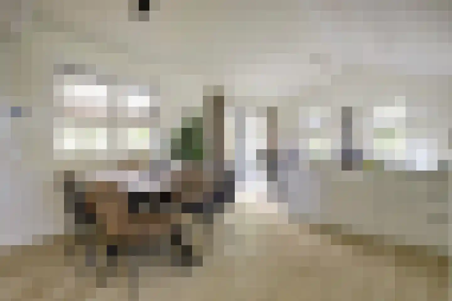 Dorperheideweg 34 2501 Arcen thumbnail 17
