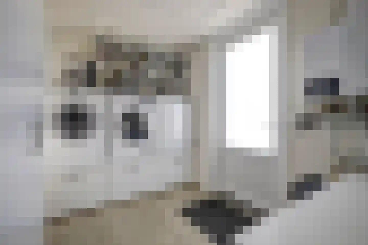Dorperheideweg 34 2501 Arcen thumbnail 21