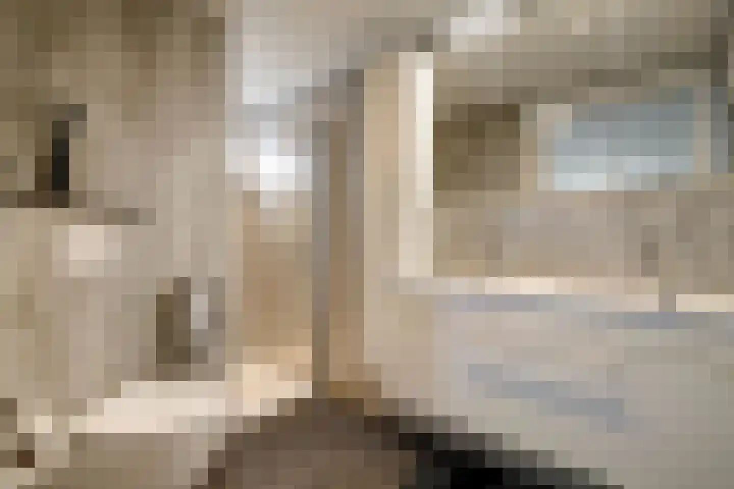 Dorperheideweg 34 2501 Arcen thumbnail 23