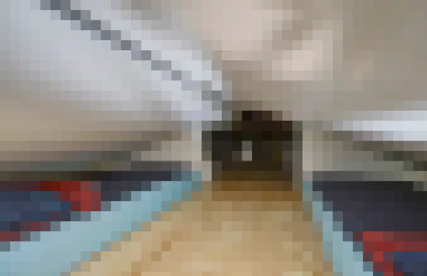 Dorperheideweg 34 2501 Arcen thumbnail 30