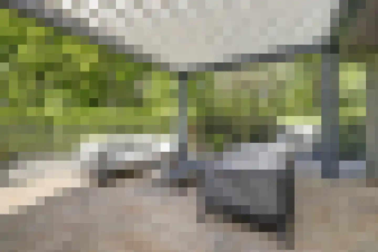 Dorperheideweg 34 2501 Arcen thumbnail 35