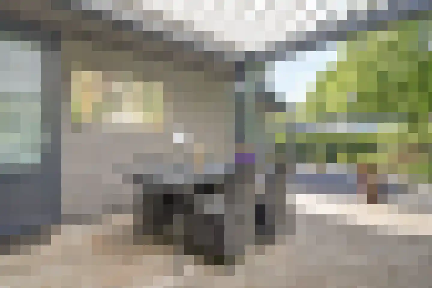Dorperheideweg 34 2501 Arcen thumbnail 37