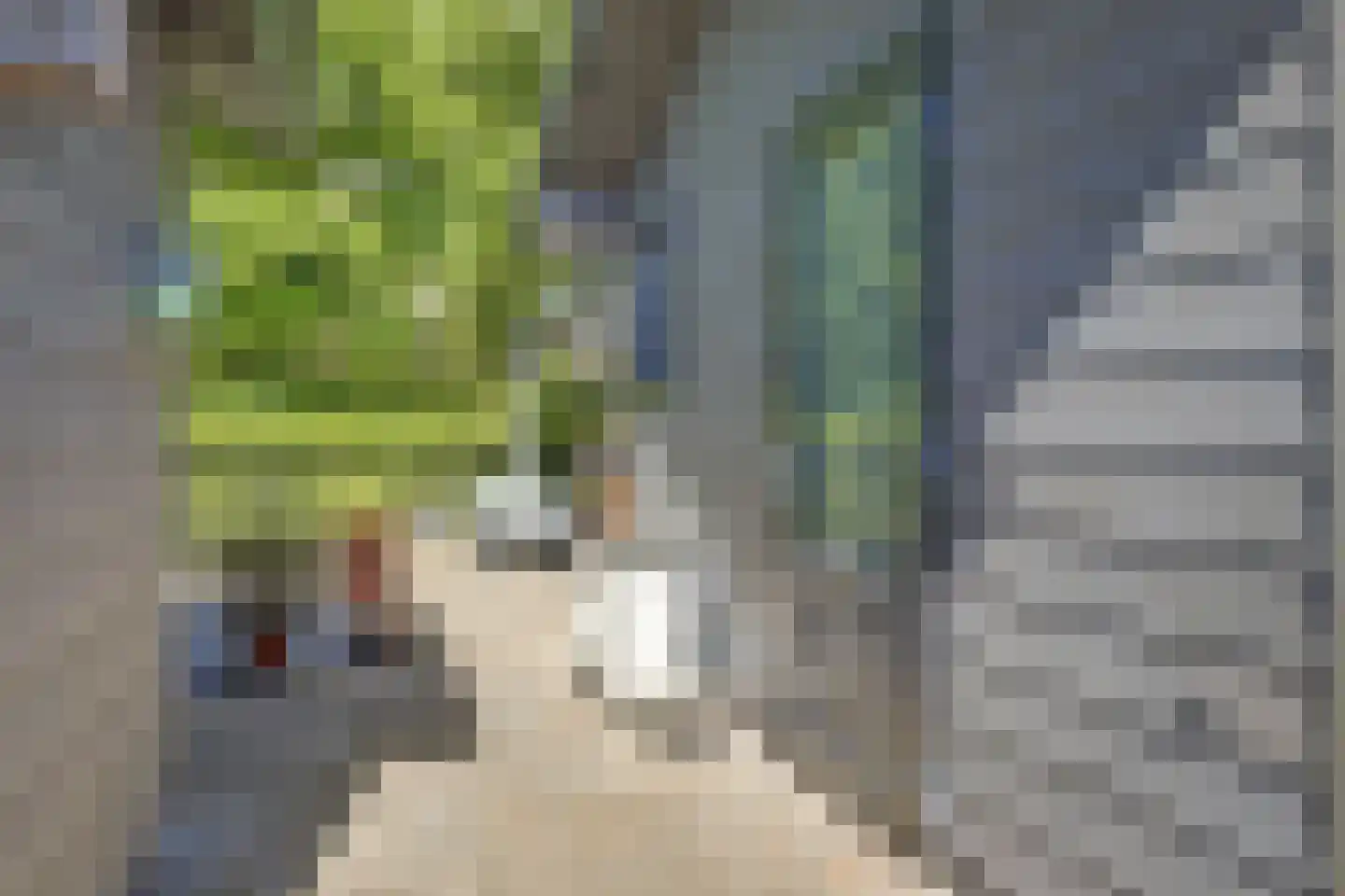 Dorperheideweg 34 2501 Arcen thumbnail 42
