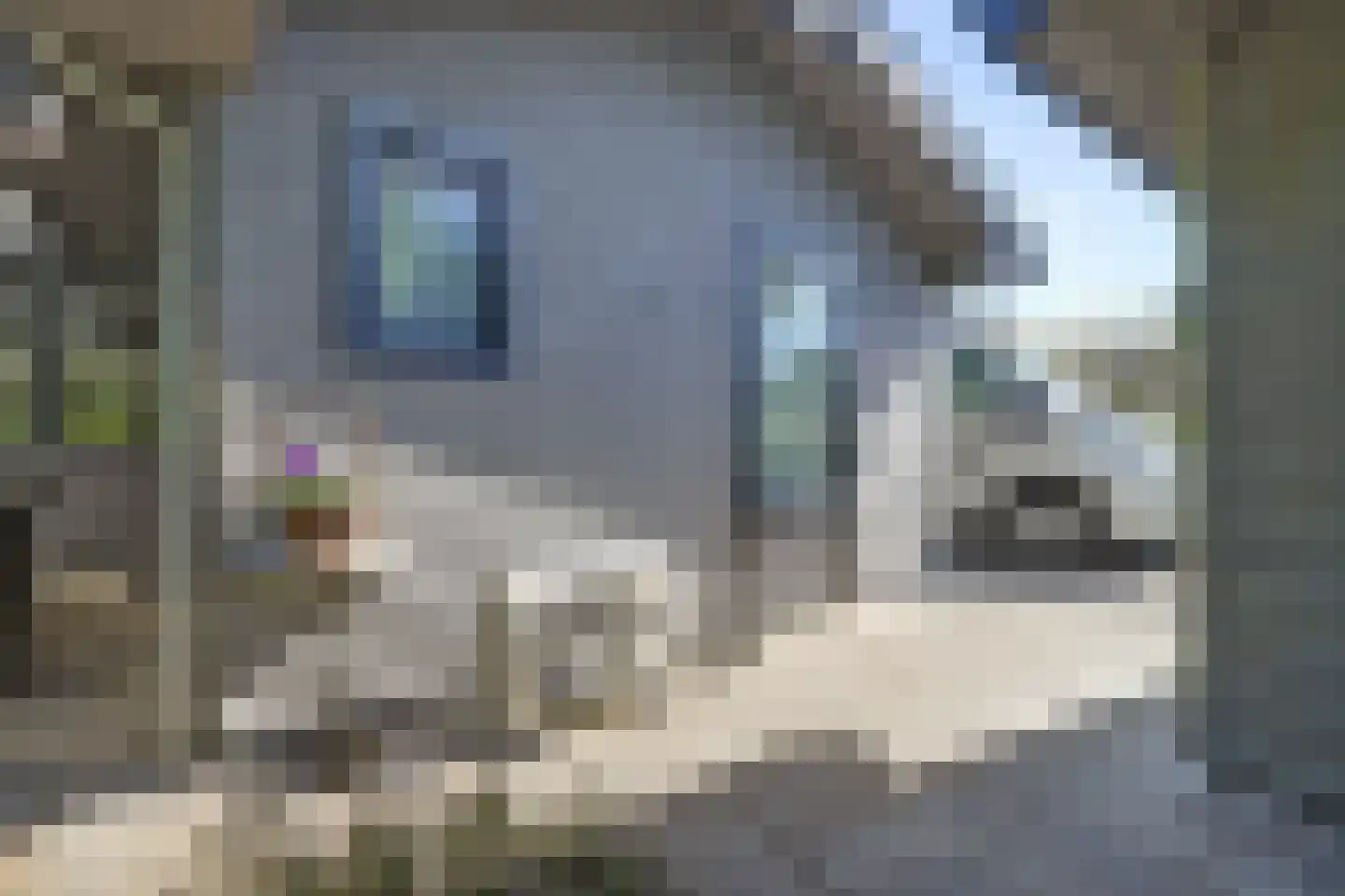 Dorperheideweg 34 2501 Arcen thumbnail 43