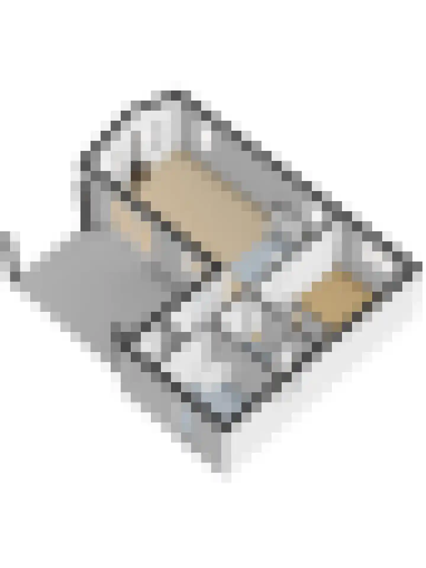 Dorperheideweg 34 2501 Arcen thumbnail 46