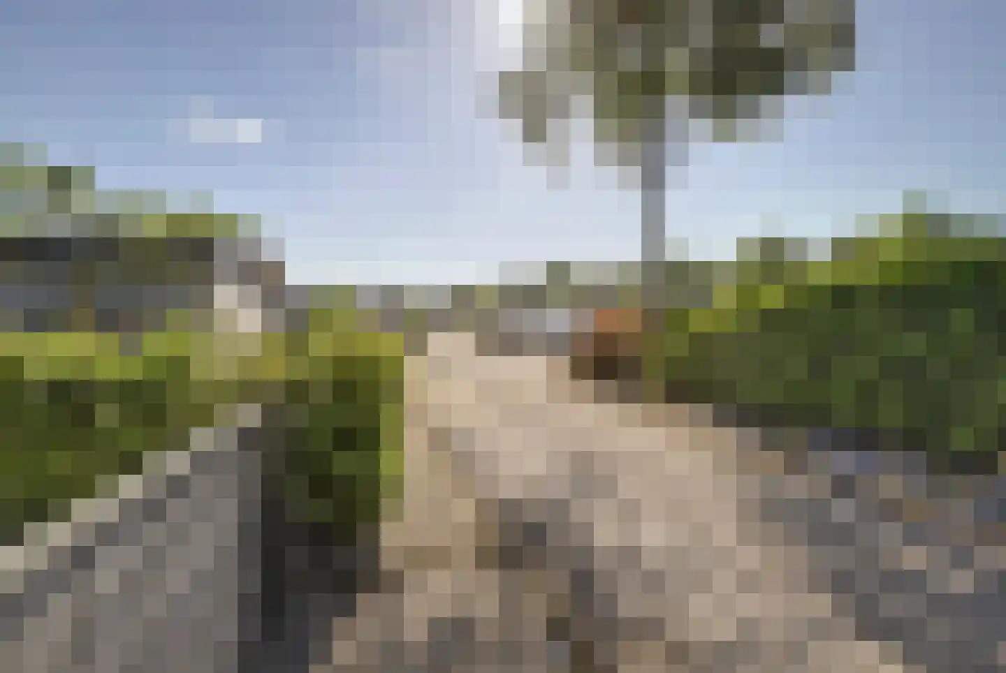 Dorperheideweg 34 2501 Arcen thumbnail 5