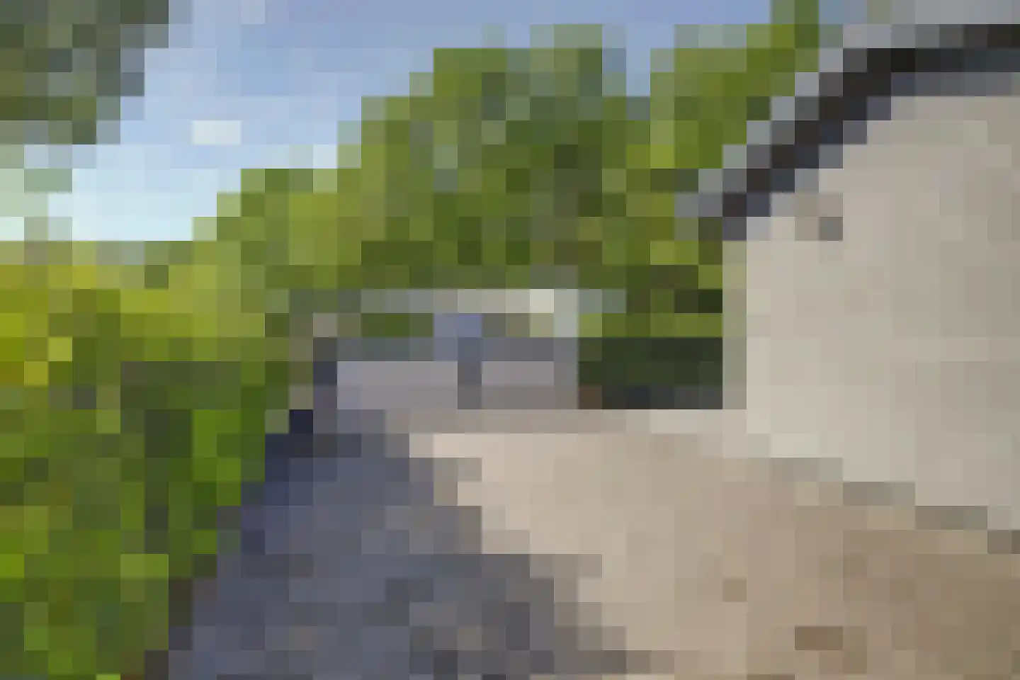 Dorperheideweg 34 2501 Arcen thumbnail 6