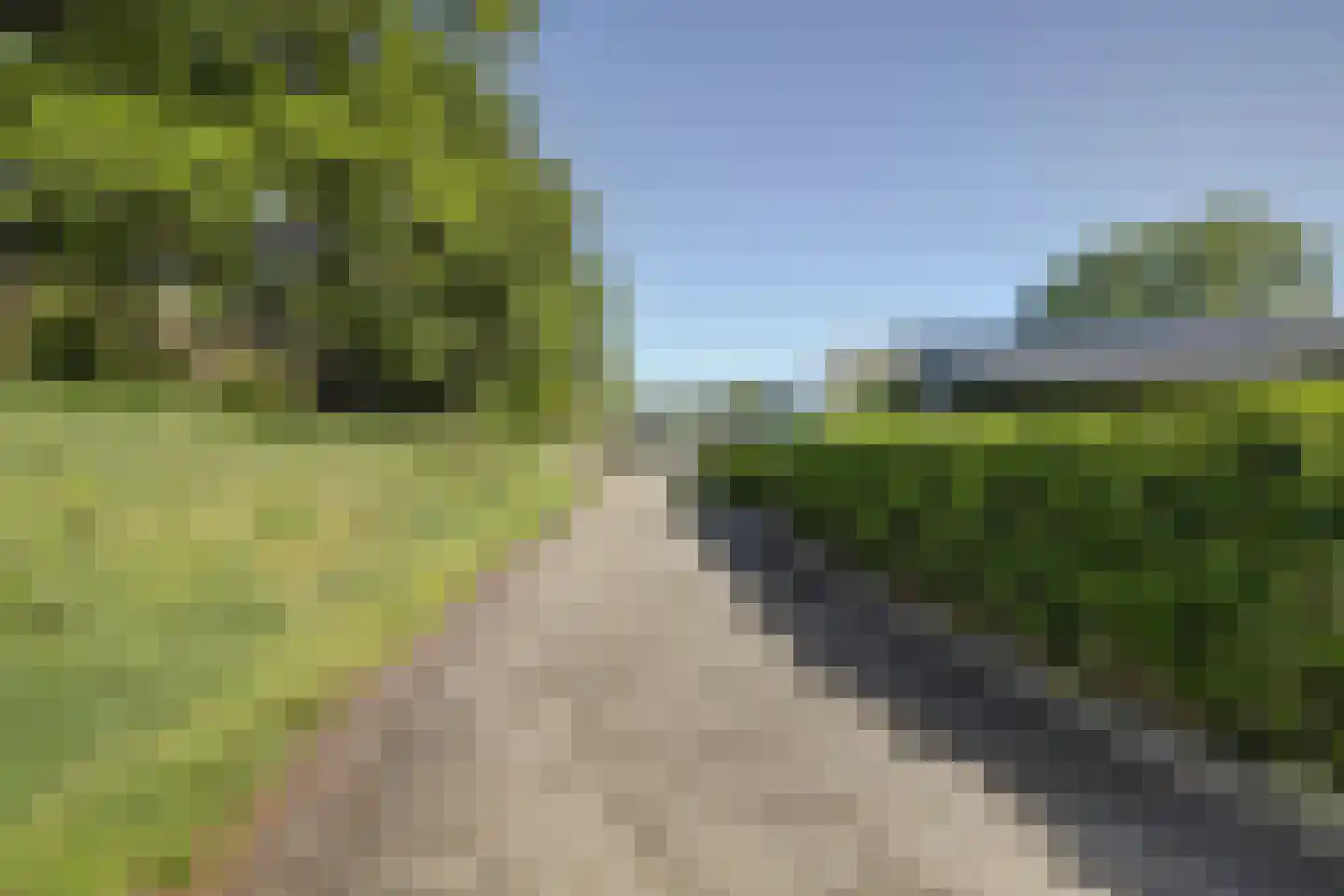 Dorperheideweg 34 2501 Arcen thumbnail 7