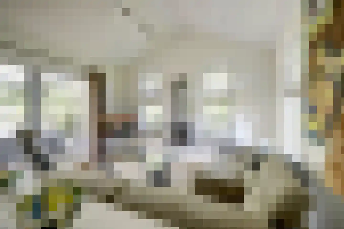 Dorperheideweg 34 2501 Arcen thumbnail 9