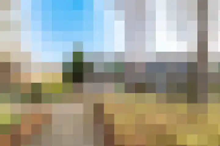 Dorpersveld 137 Apeldoorn thumbnail 4