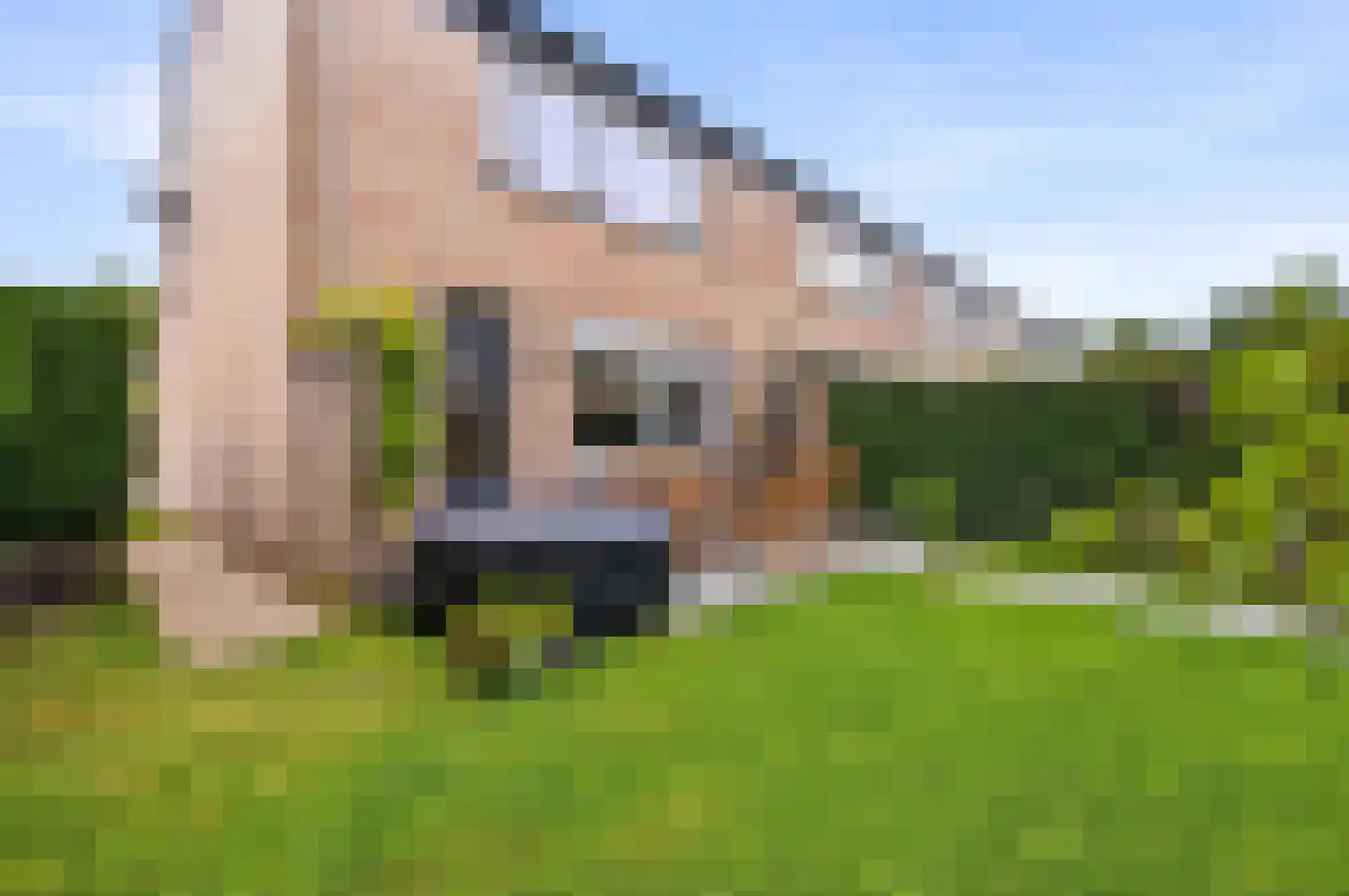 Dorpersveld 149 Apeldoorn thumbnail 32