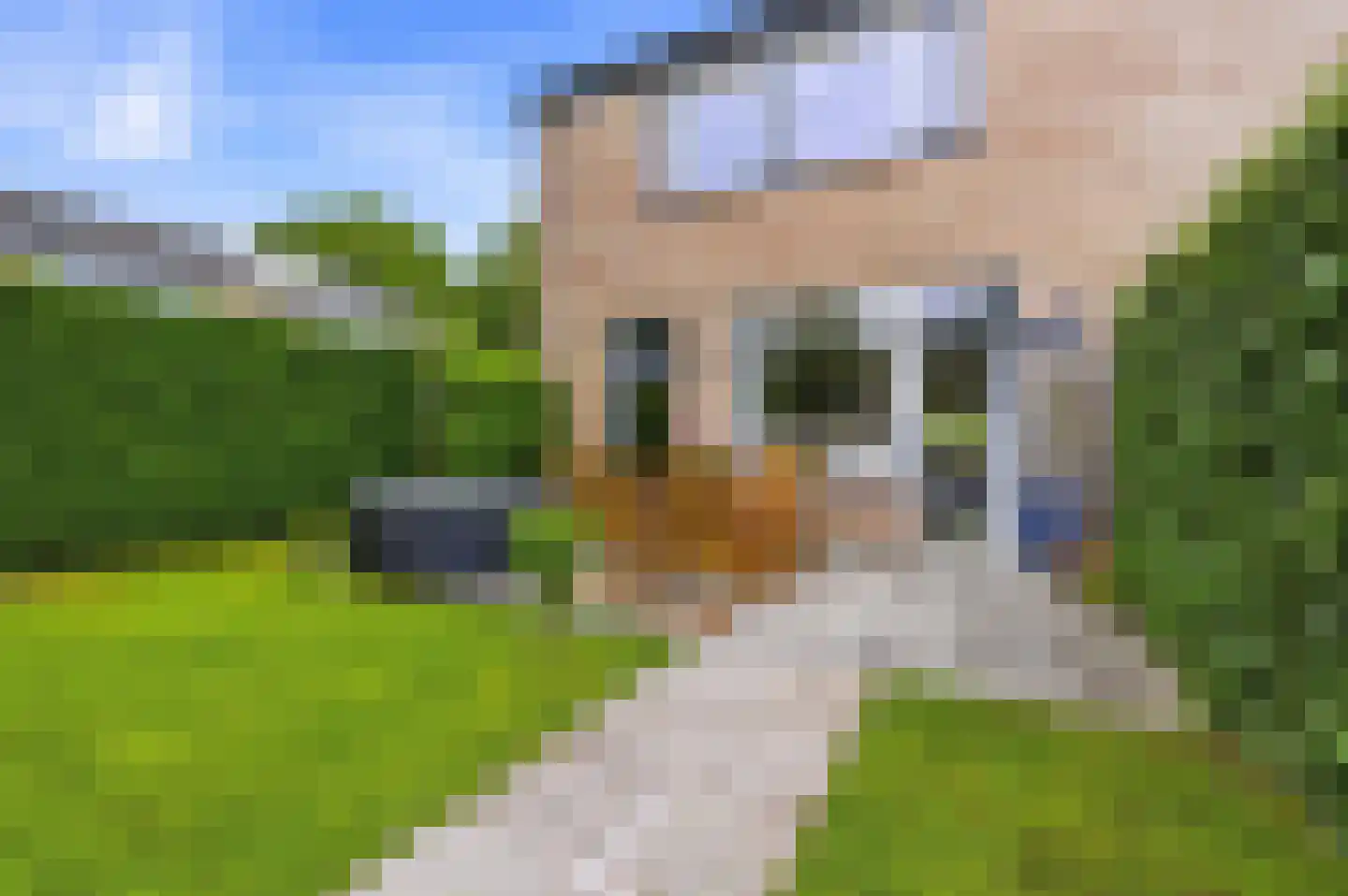 Dorpersveld 149 Apeldoorn thumbnail 33