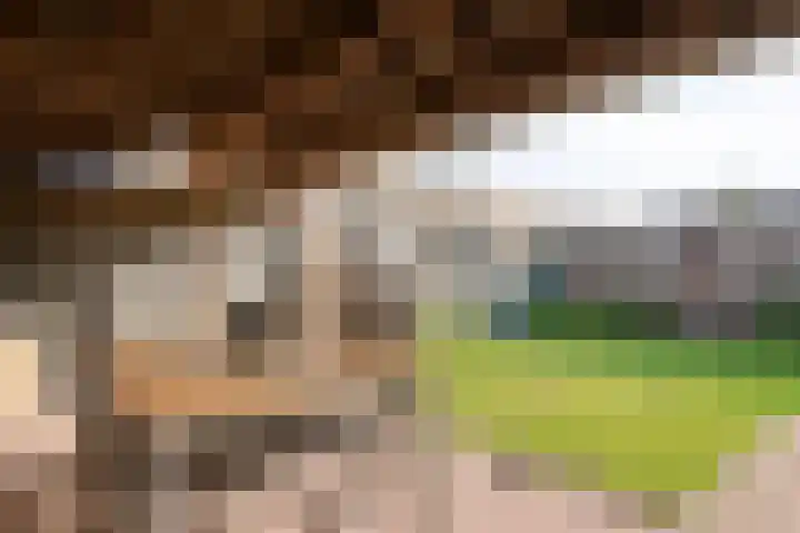 Dorperveld 21 Merselo thumbnail 34