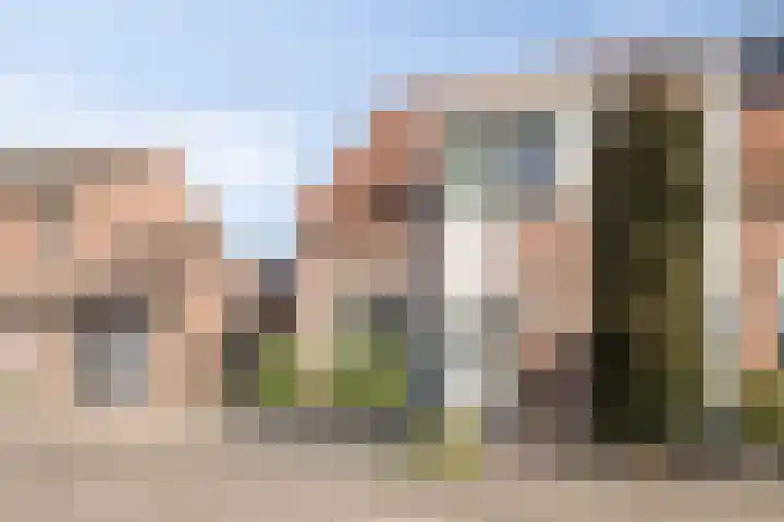 Dorperveld 21 Merselo thumbnail 41