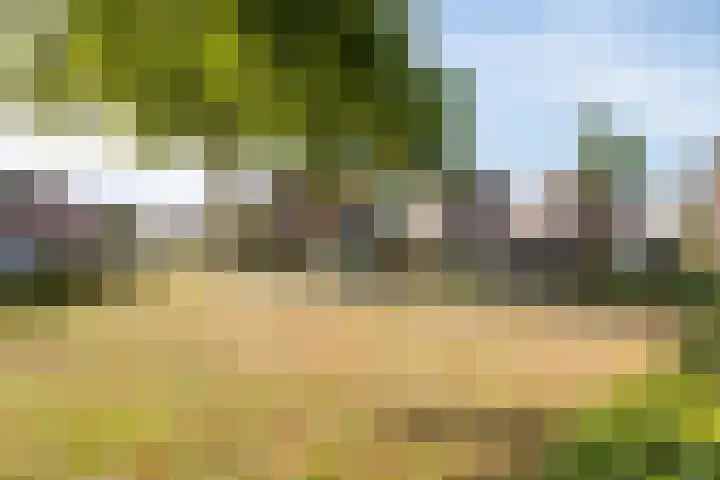 Dorperveld 21 Merselo thumbnail 42
