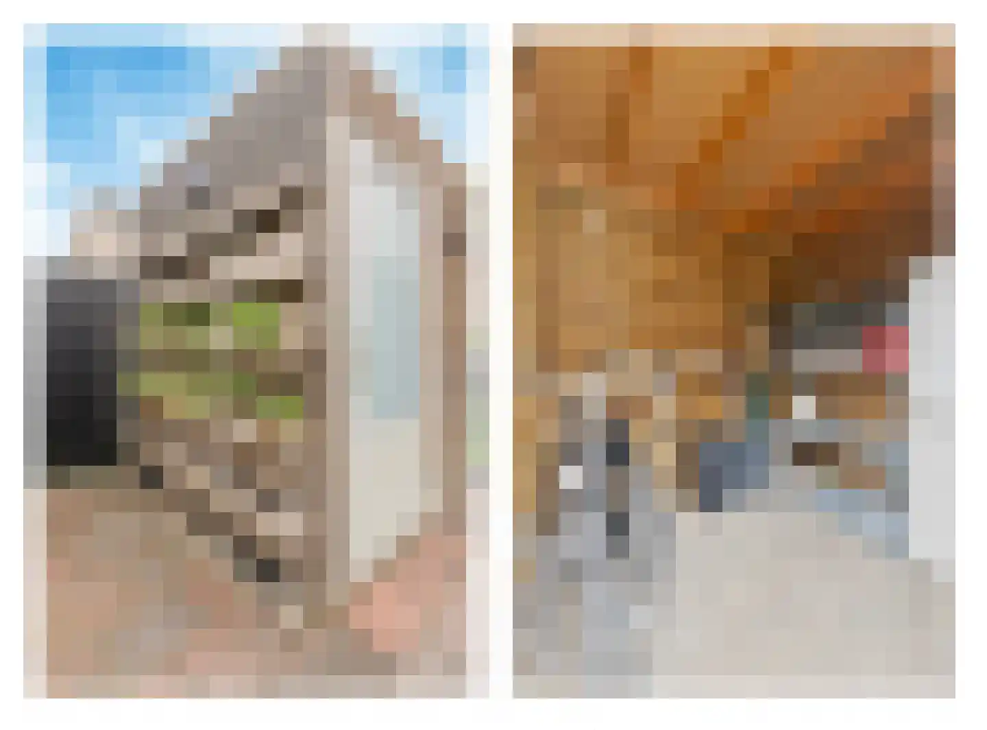 Dorperveldstraat 30 Velden thumbnail 15