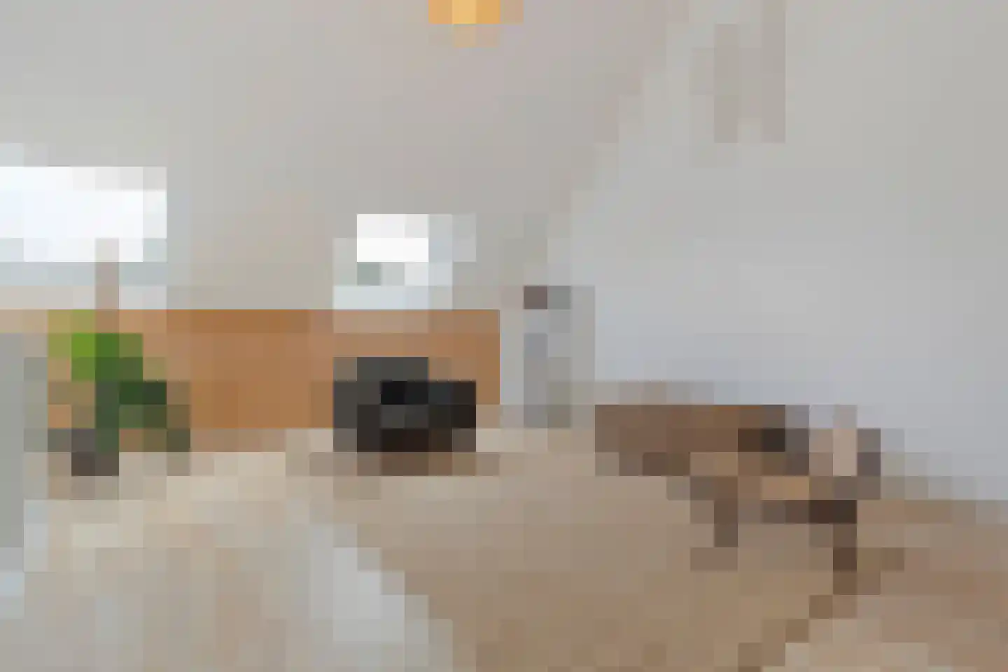 Dorperveldstraat 44 Velden thumbnail 36