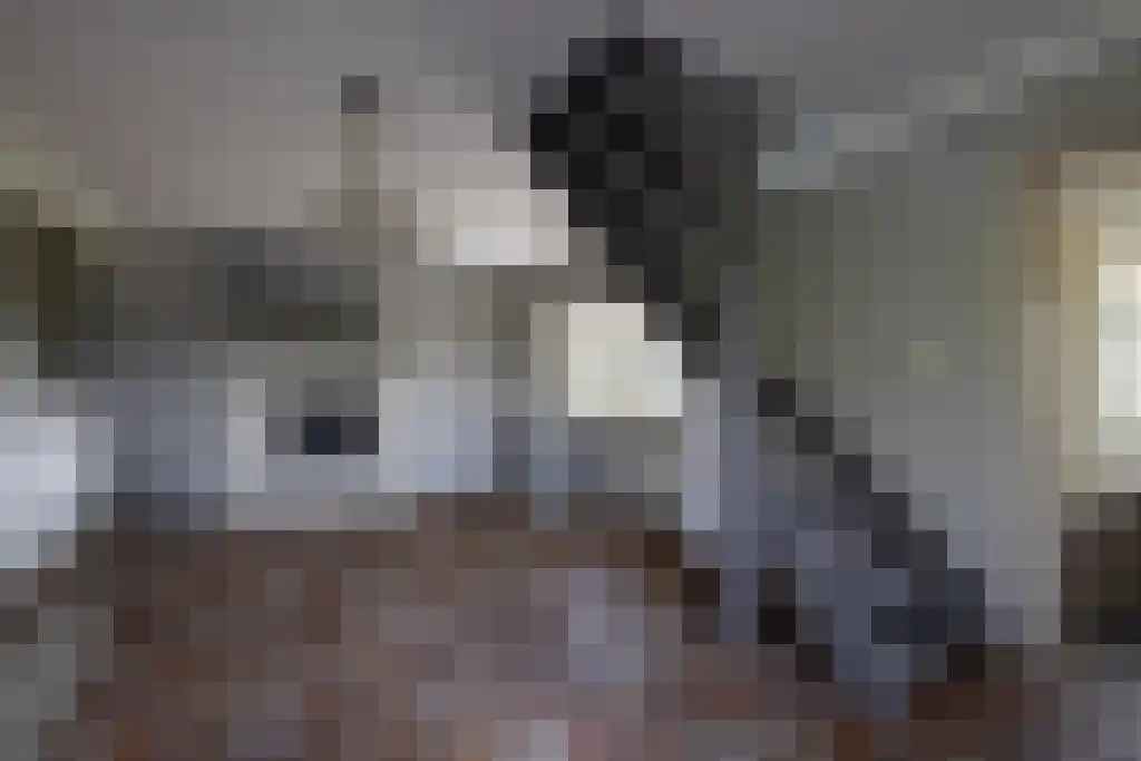 Dorperveldweg 6 Epe thumbnail 20