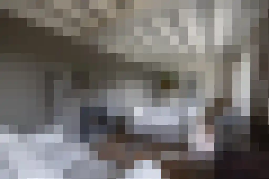 Dorperveldweg 6 Epe thumbnail 21