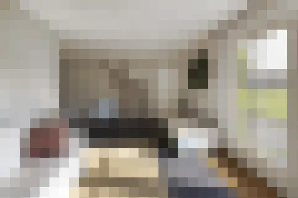 Dorperveldweg 6 Epe thumbnail 30