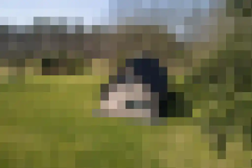 Dorperveldweg 6 Epe thumbnail 35