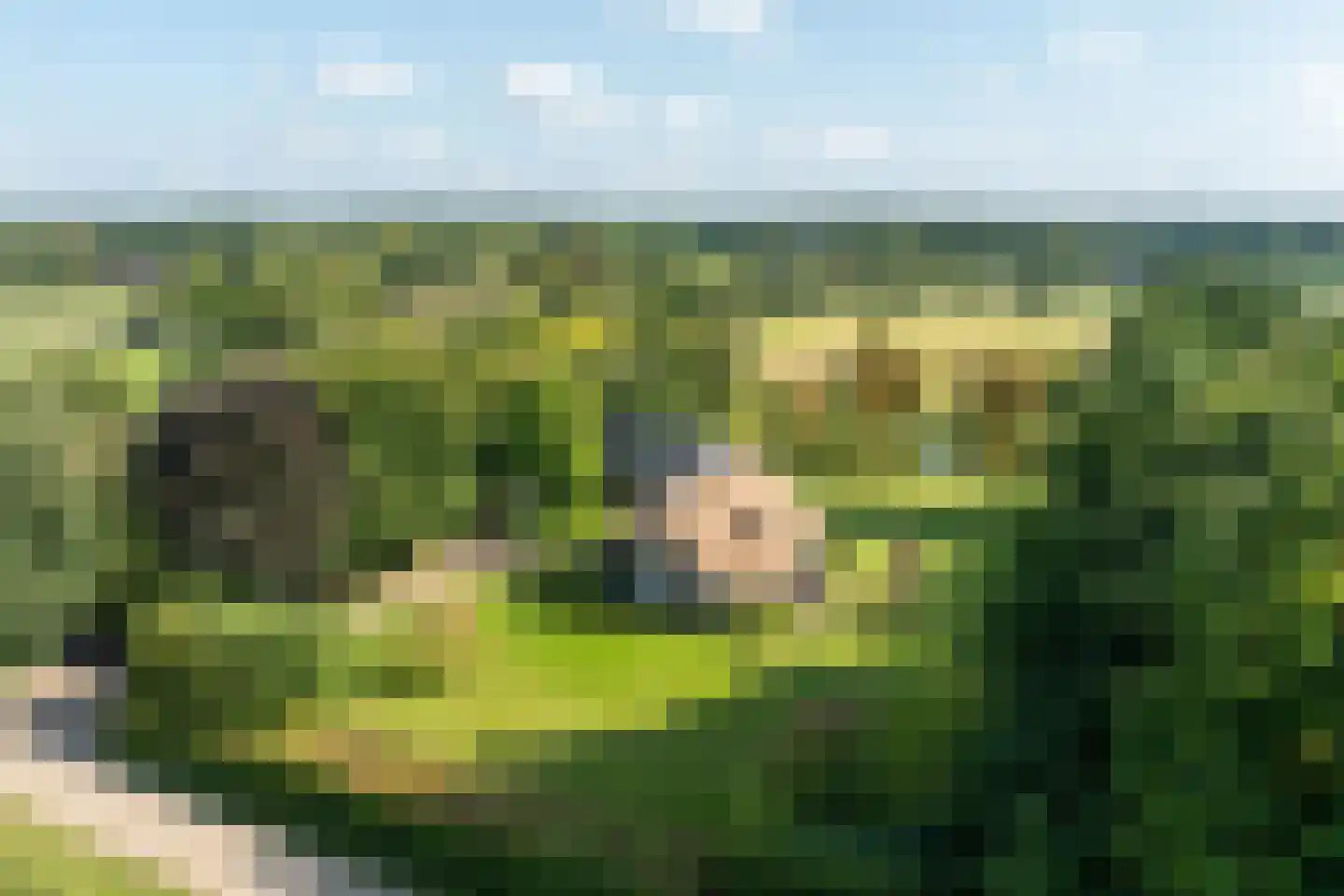 Dorperveldweg 6 Epe thumbnail 37