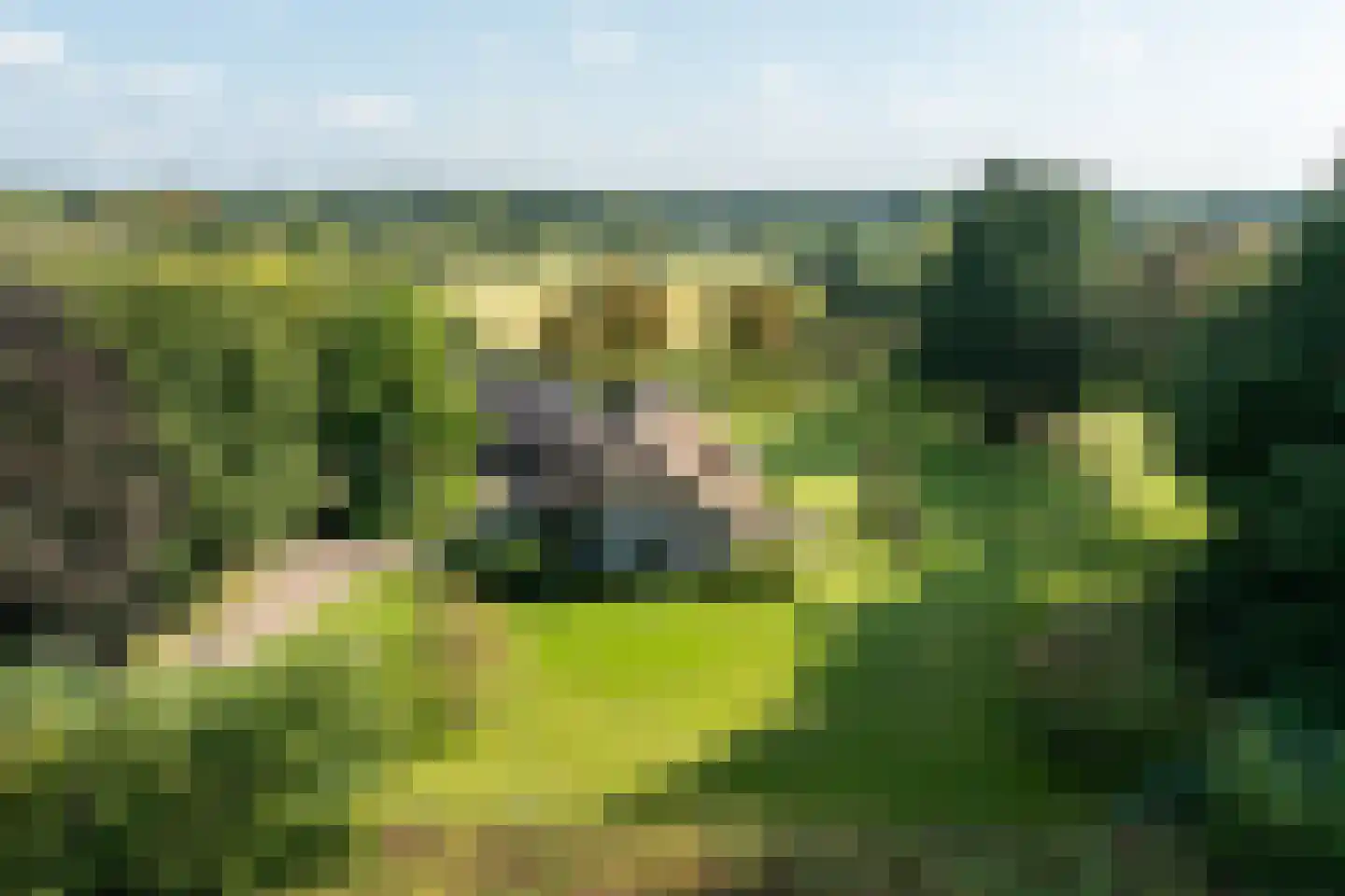 Dorperveldweg 6 Epe thumbnail 38